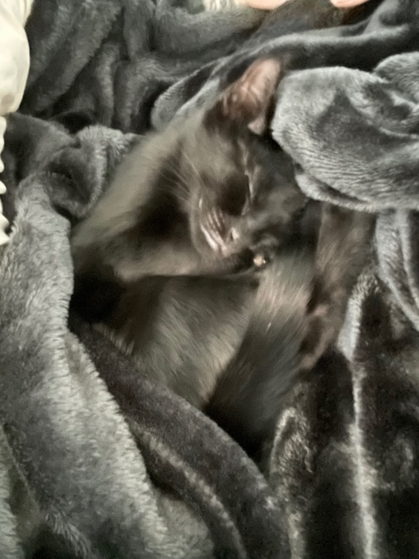 Salem photo 13